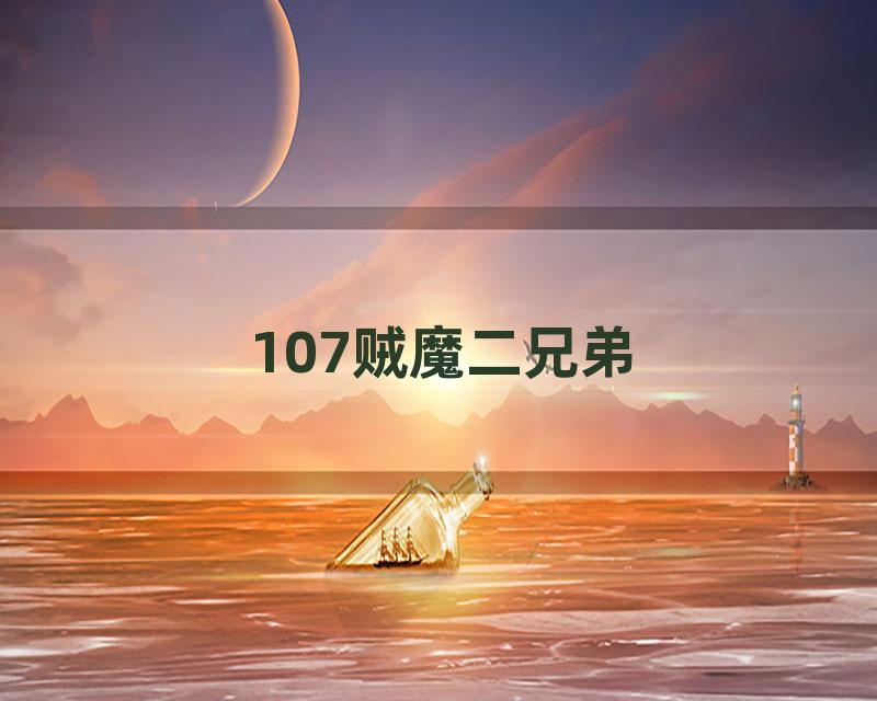 107贼魔二兄弟