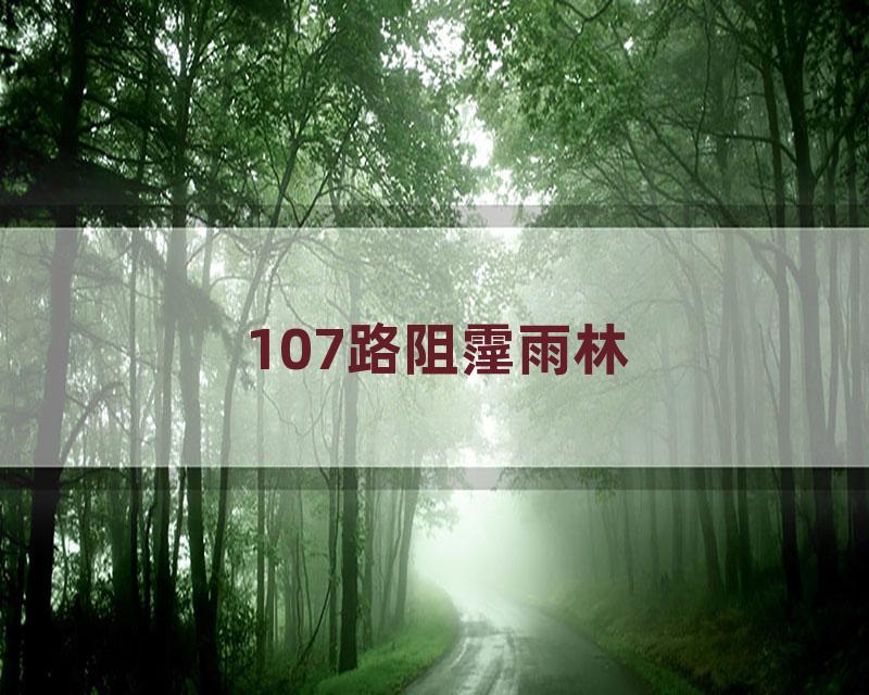 107路阻霪雨林