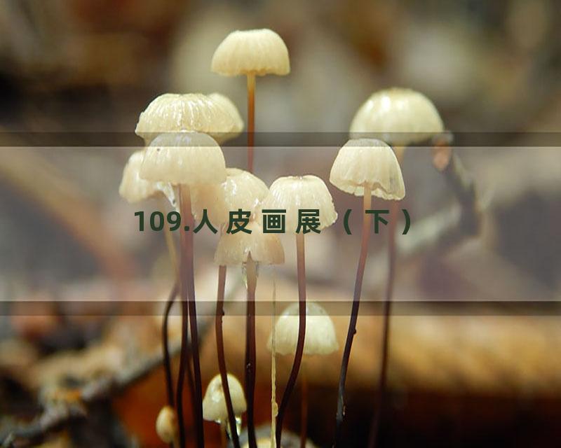 109.人皮画展（下）