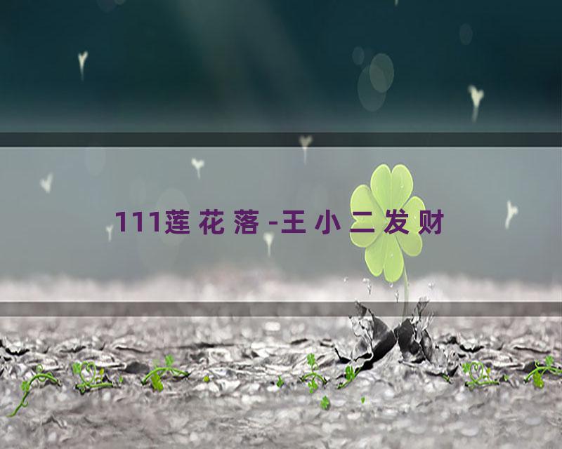 111莲花落-王小二发财