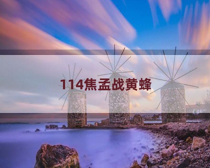 114焦孟战黄蜂