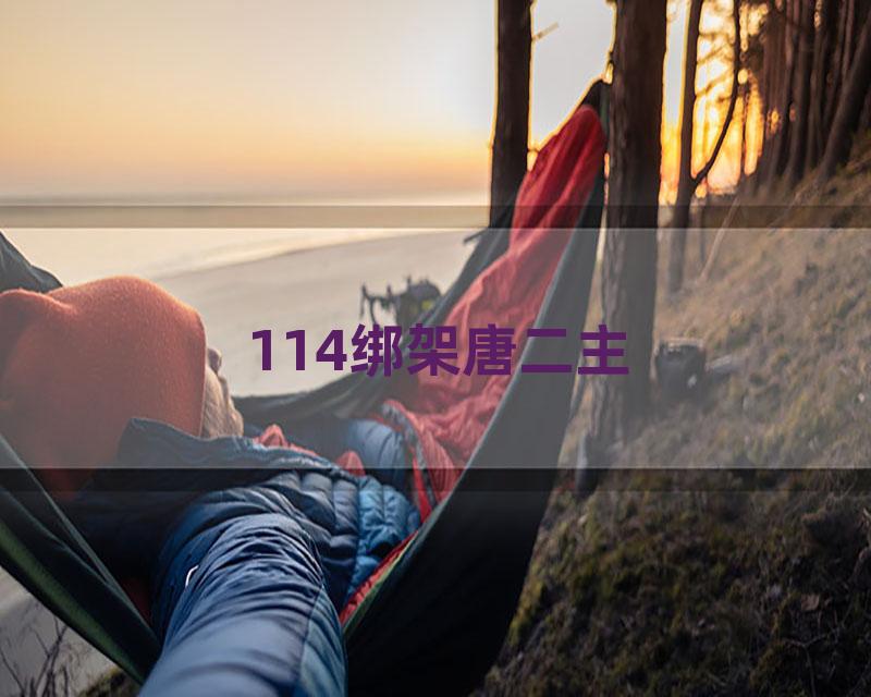 114绑架唐二主