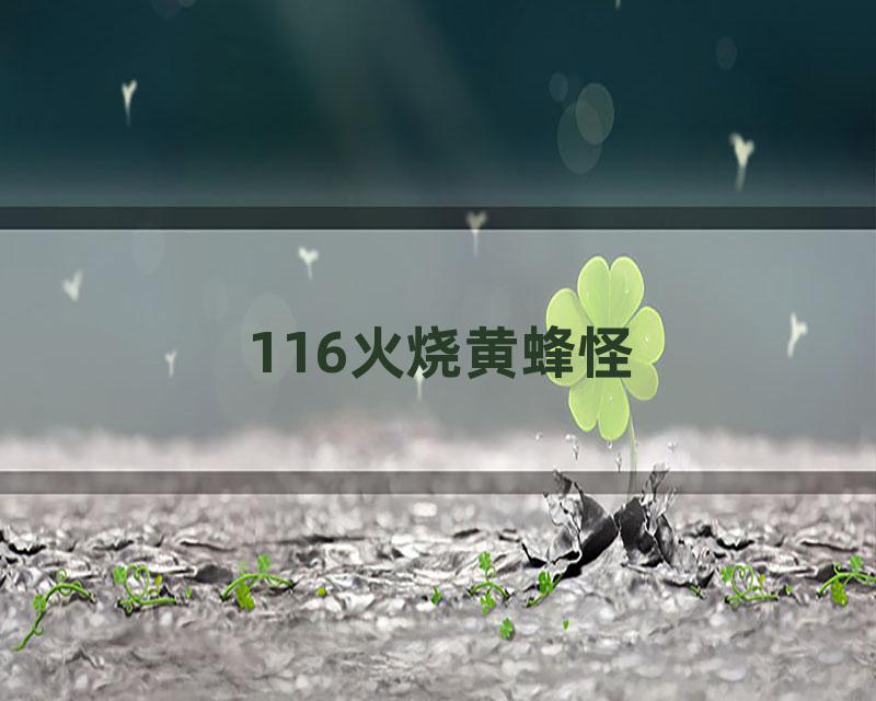 116火烧黄蜂怪