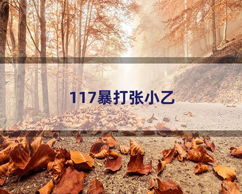 117暴打张小乙