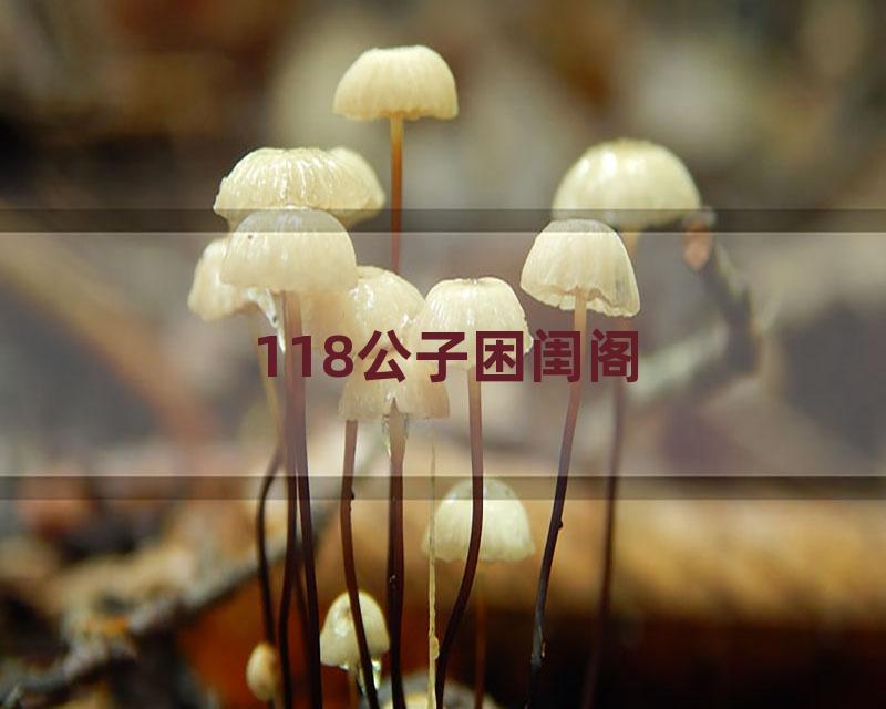 118公子困闺阁