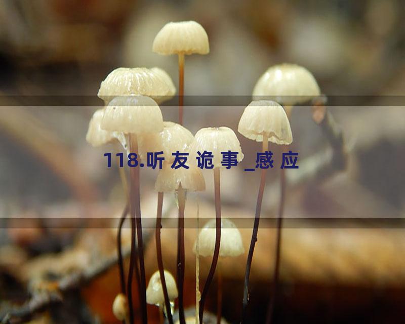 118.听友诡事_感应