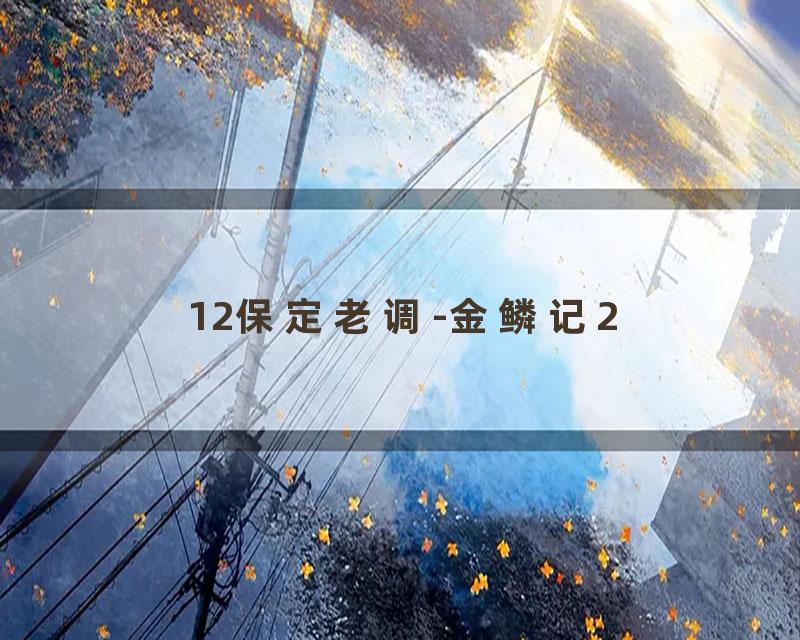 12保定老调-金鳞记2