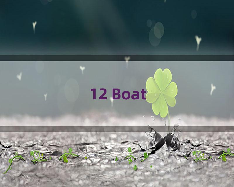 12 Boat