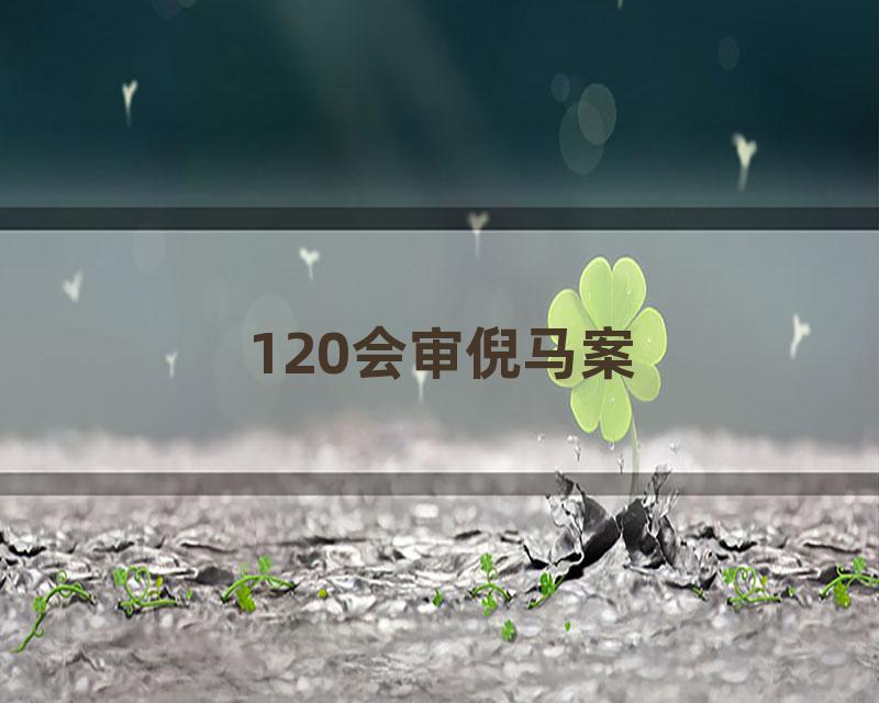 120会审倪马案