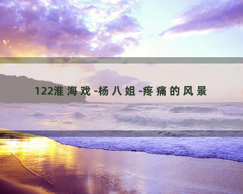 122淮海戏-杨八姐-疼痛的风景