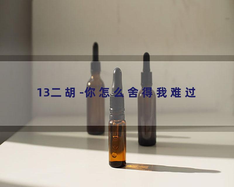 13二胡-你怎么舍得我难过