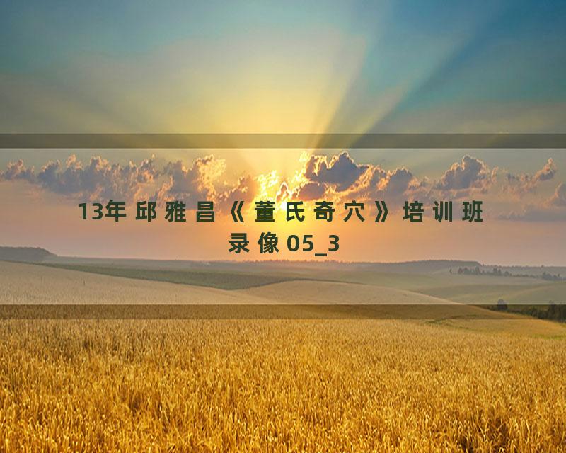 13年邱雅昌《董氏奇穴》培训班录像05_3