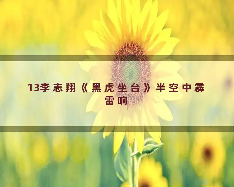 13李志翔《黑虎坐台》半空中霹雷响