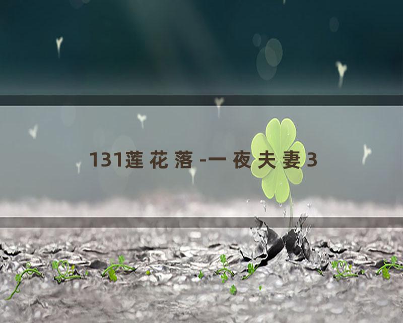 131莲花落-一夜夫妻3