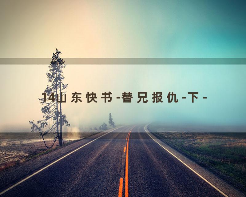 14山东快书-替兄报仇-下-