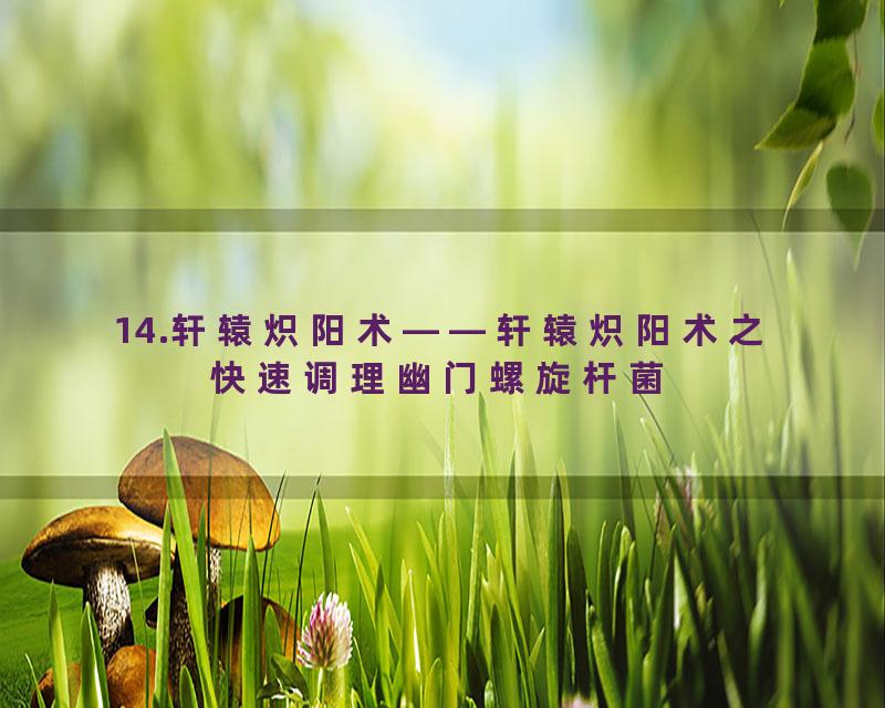 14.轩辕炽阳术——轩辕炽阳术之快速调理幽门螺旋杆菌