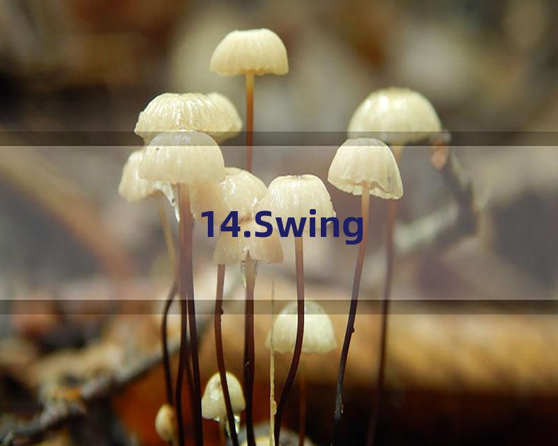 14.Swing