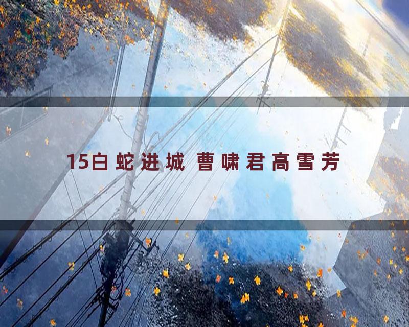 15白蛇进城 曹啸君高雪芳