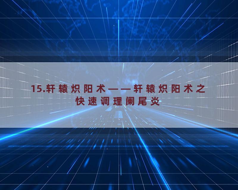 15.轩辕炽阳术——轩辕炽阳术之快速调理阑尾炎