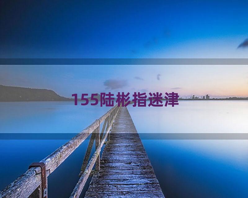 155陆彬指迷津