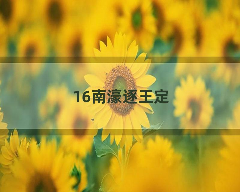 16南濠逐王定