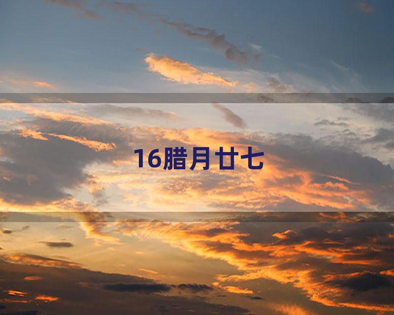 16腊月廿七