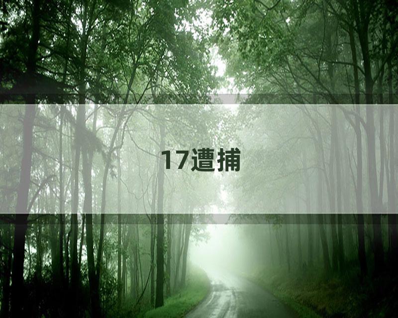 17遭捕