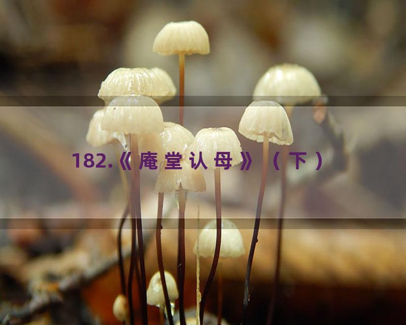 182.《庵堂认母》（下）