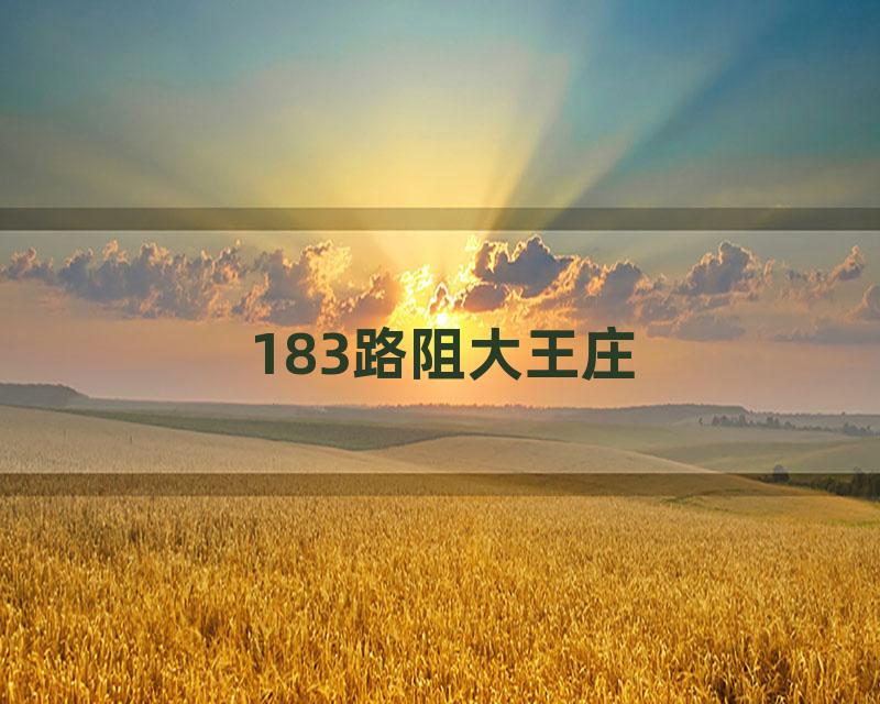 183路阻大王庄