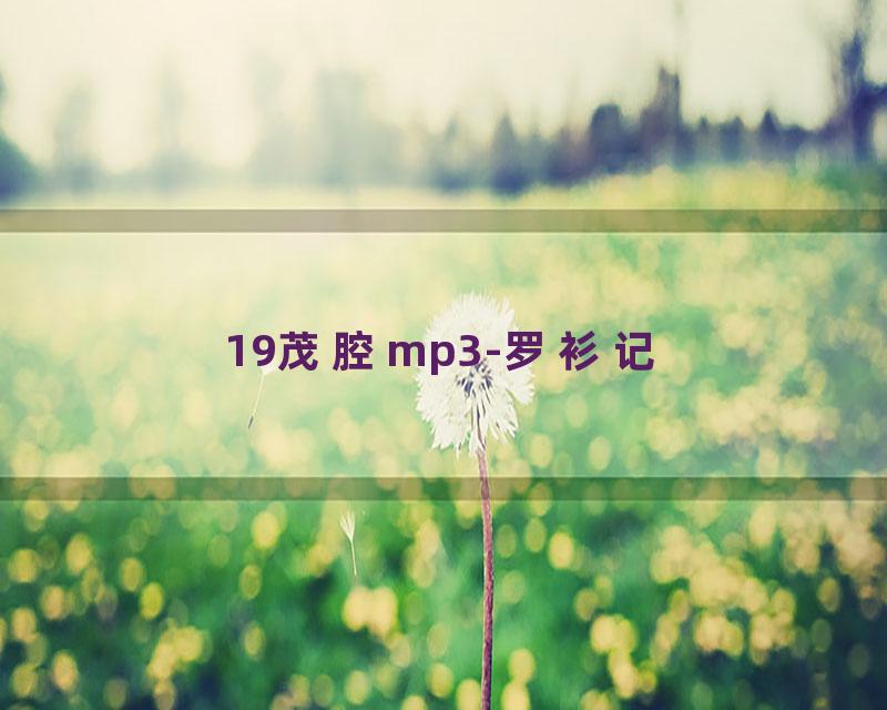 19茂腔mp3-罗衫记