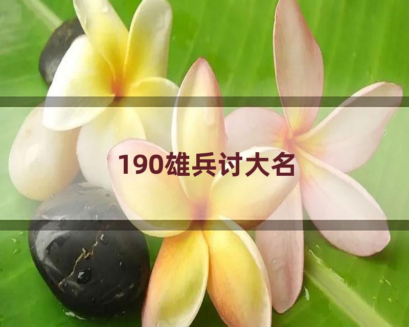 190雄兵讨大名