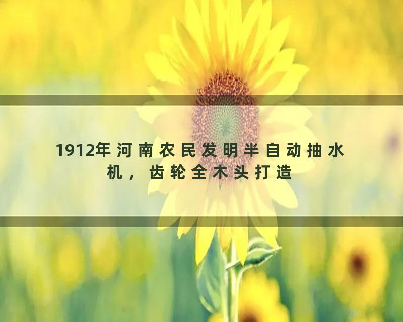 1912年河南农民发明半自动抽水机，齿轮全木头打造