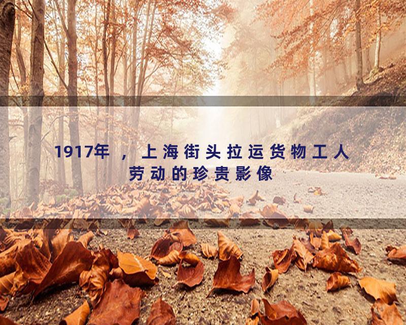 1917年 ，上海街头拉运货物工人劳动的珍贵影像