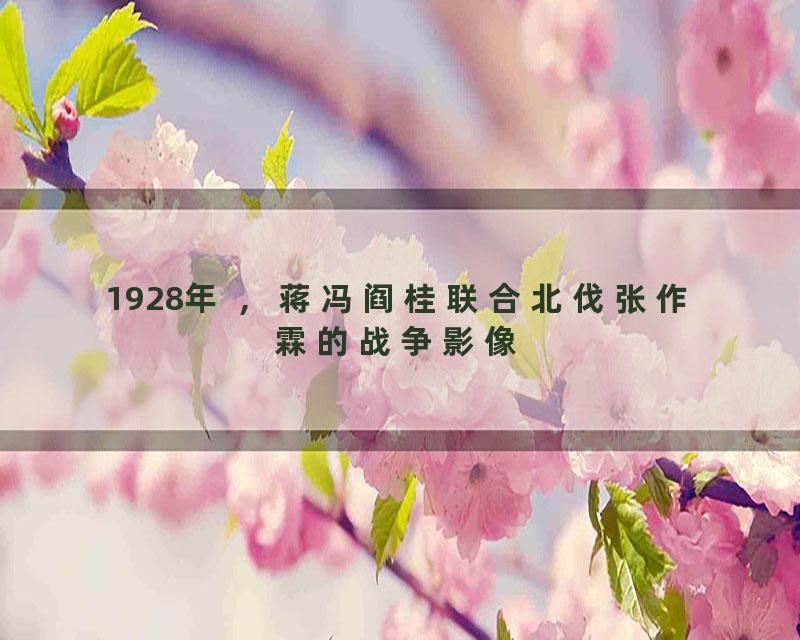 1928年 ，蒋冯阎桂联合北伐张作霖的战争影像