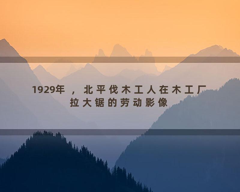 1929年 ，北平伐木工人在木工厂拉大锯的劳动影像