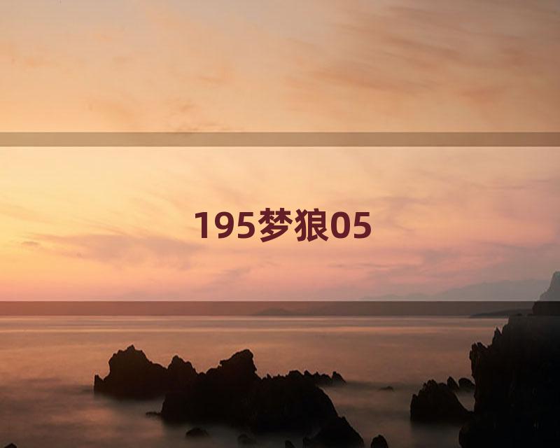 195梦狼05