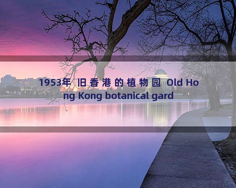 1953年 旧香港的植物园 Old Hong Kong botanical gardens_流畅 360P