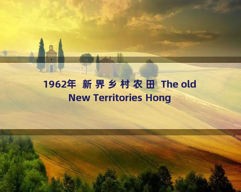 1962年 新界乡村农田 The old New Territories Hong Kong in 1962_流畅 360P