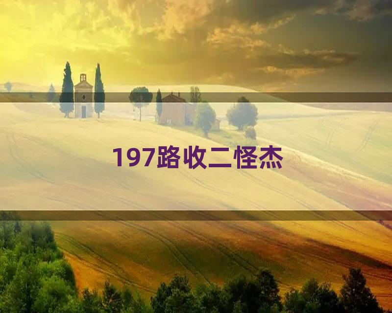 197路收二怪杰