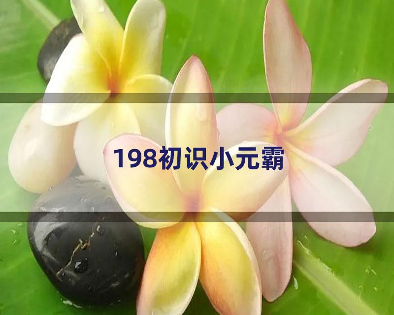 198初识小元霸