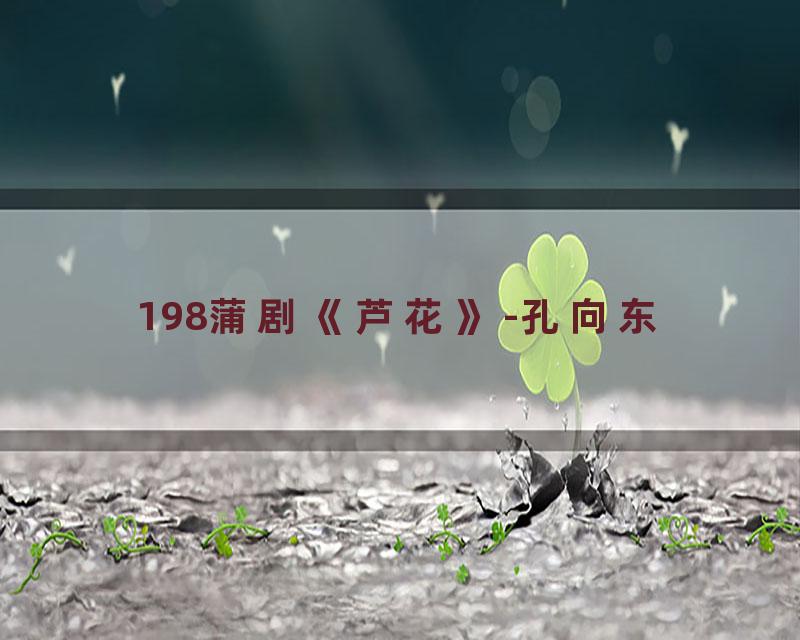 198蒲剧《芦花》-孔向东