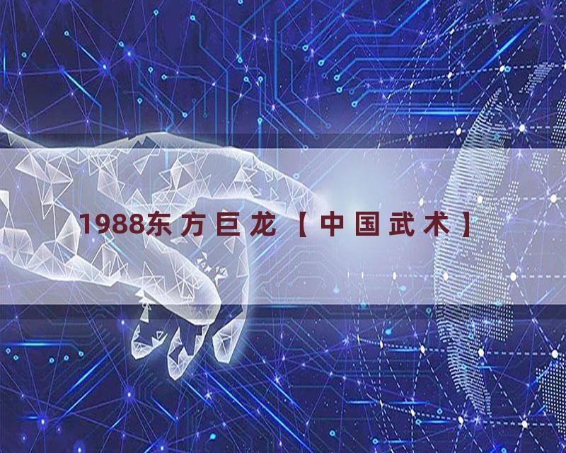 1988东方巨龙【中国武术】