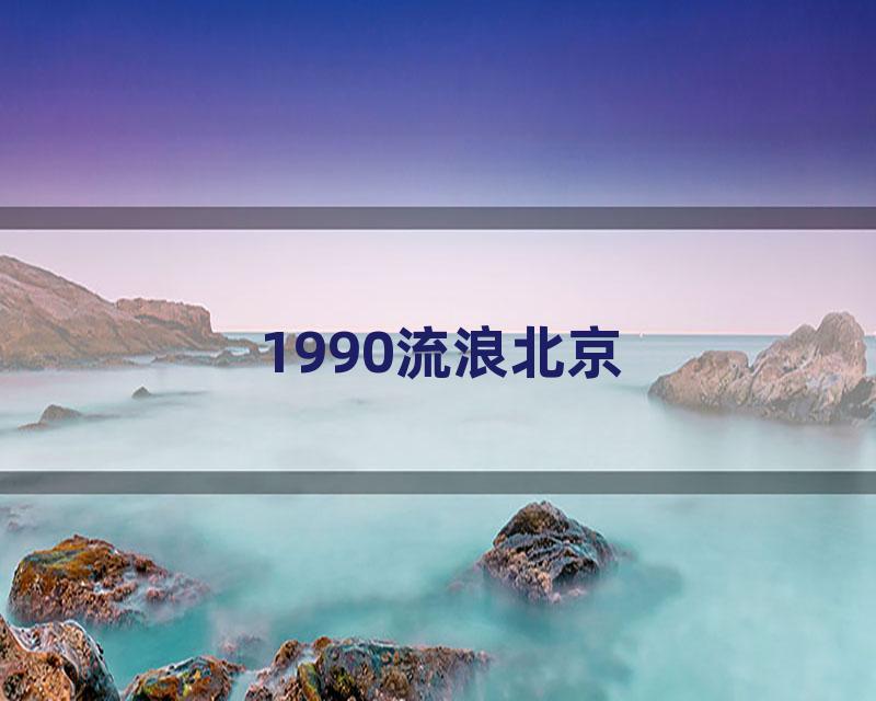 1990流浪北京