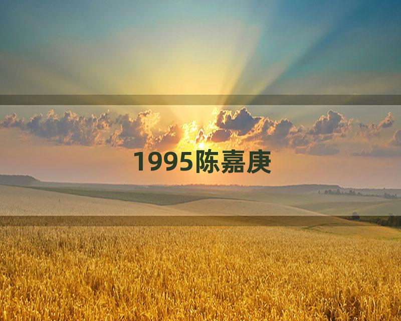 1995陈嘉庚