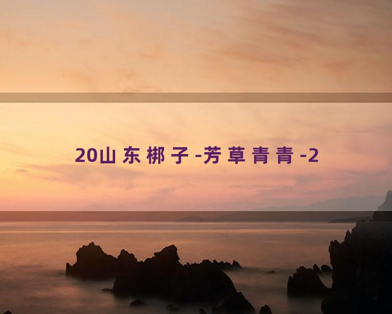 20山东梆子-芳草青青-2