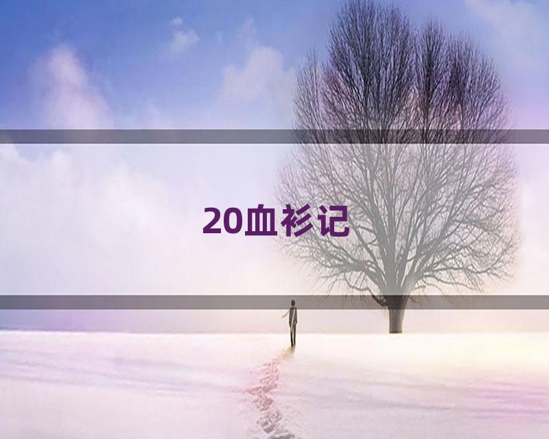 20血衫记