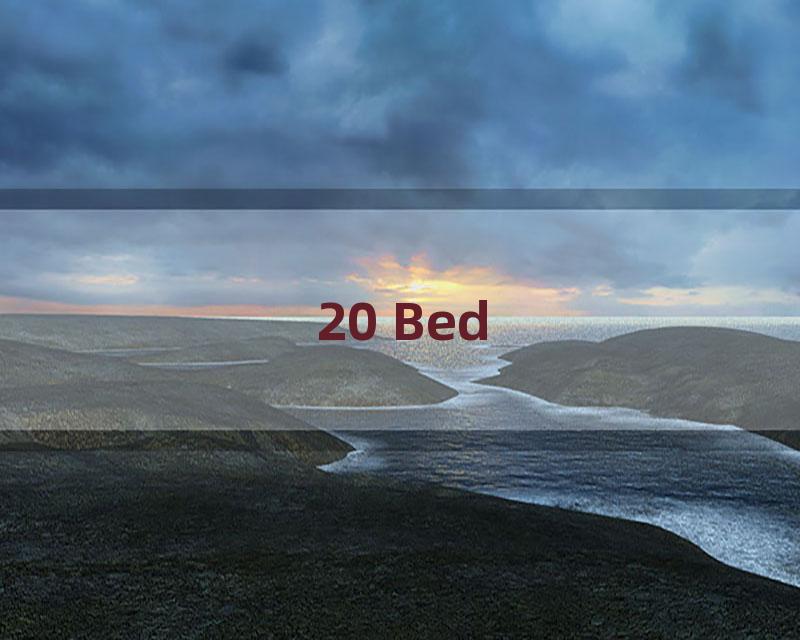 20 Bed