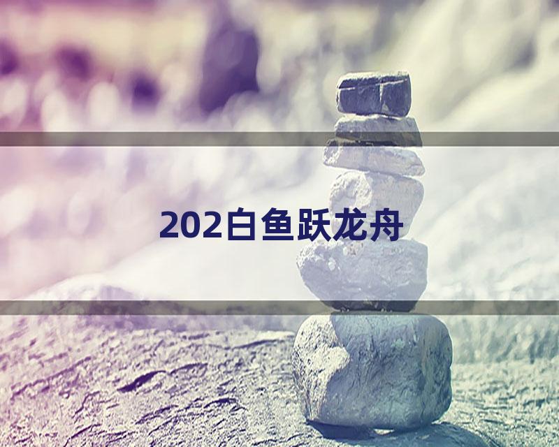 202白鱼跃龙舟