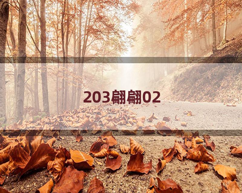 203翩翩02