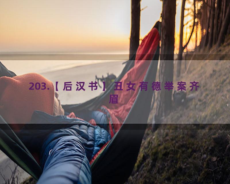 203.【后汉书】丑女有德举案齐眉